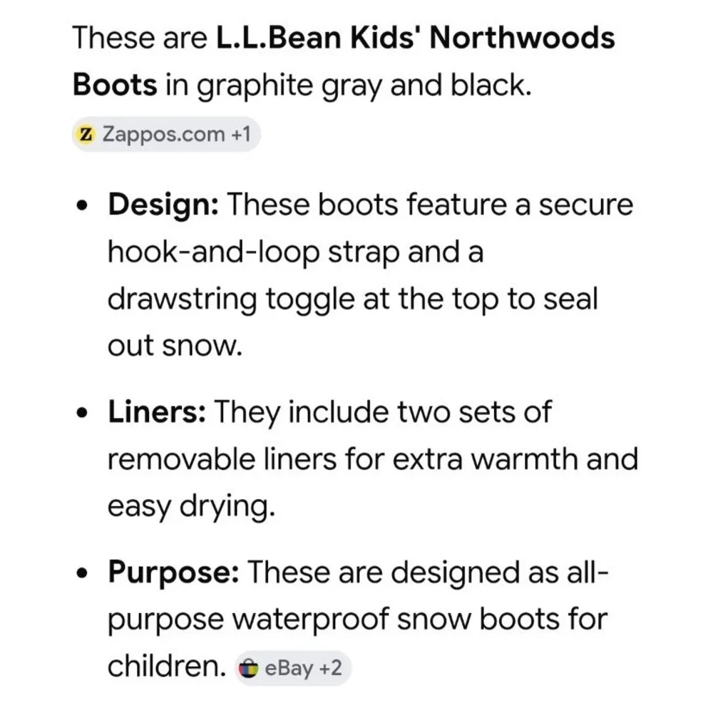 L.L. Bean Kid's Northwoods Snow Boots 12 Black Gray Waterproof Removable Liners